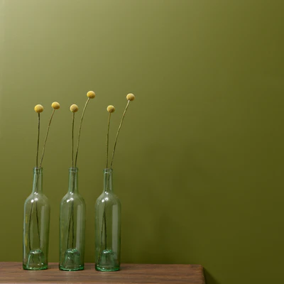 Constance Moss Wall Paint 2.5L - Image 2