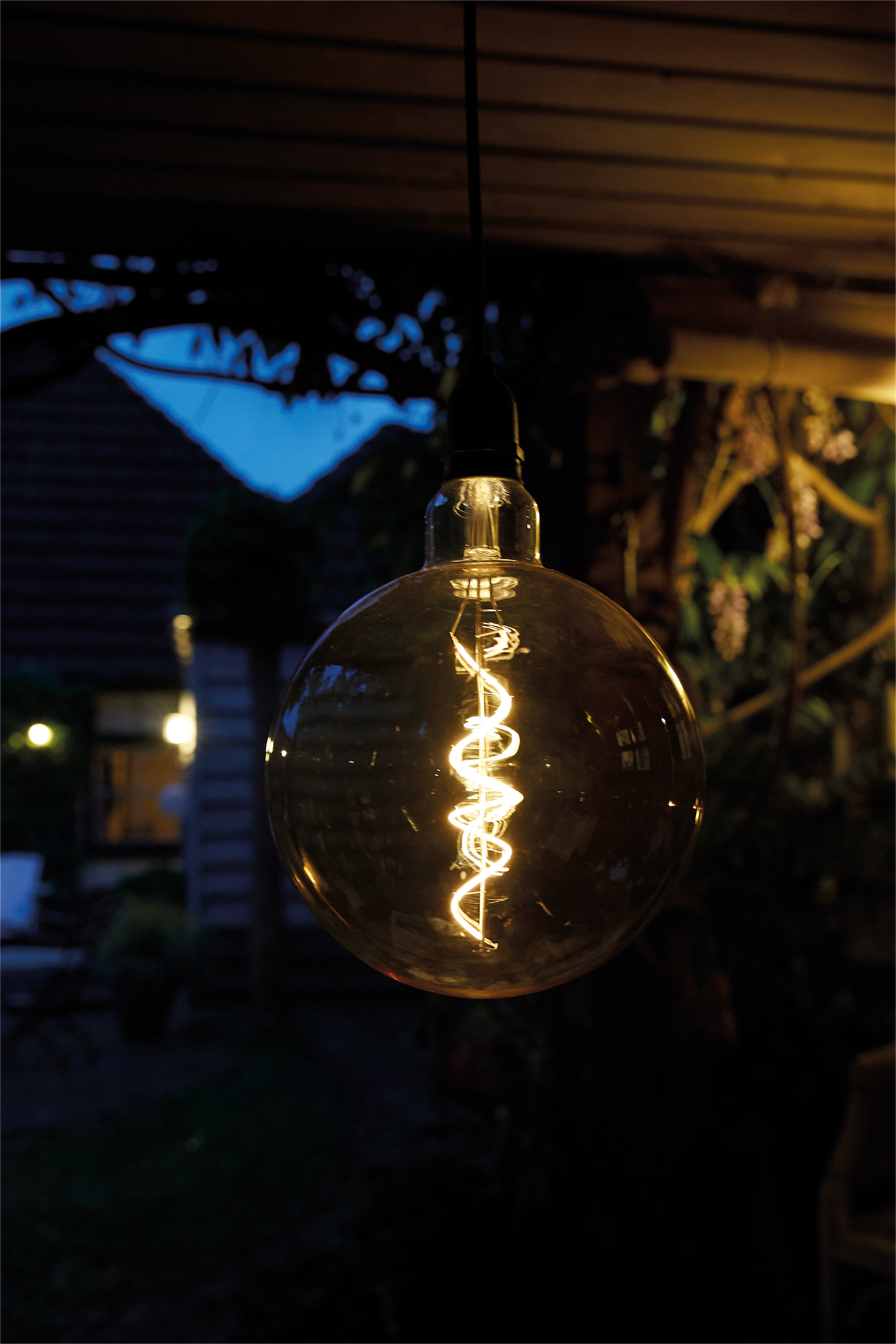 Sphere Hanging Light Bulb - Image 4