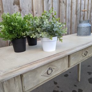 Furniture Painting Workshop