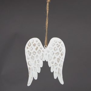Snowy Angel Wings