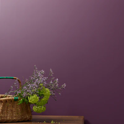 Boujee Wall Paint 2.5L - Image 2